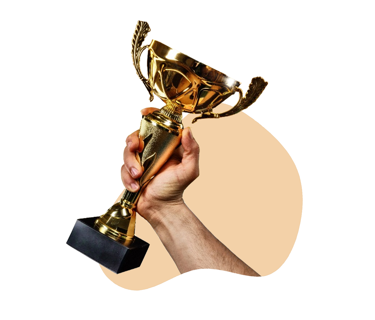 About IPX Technology